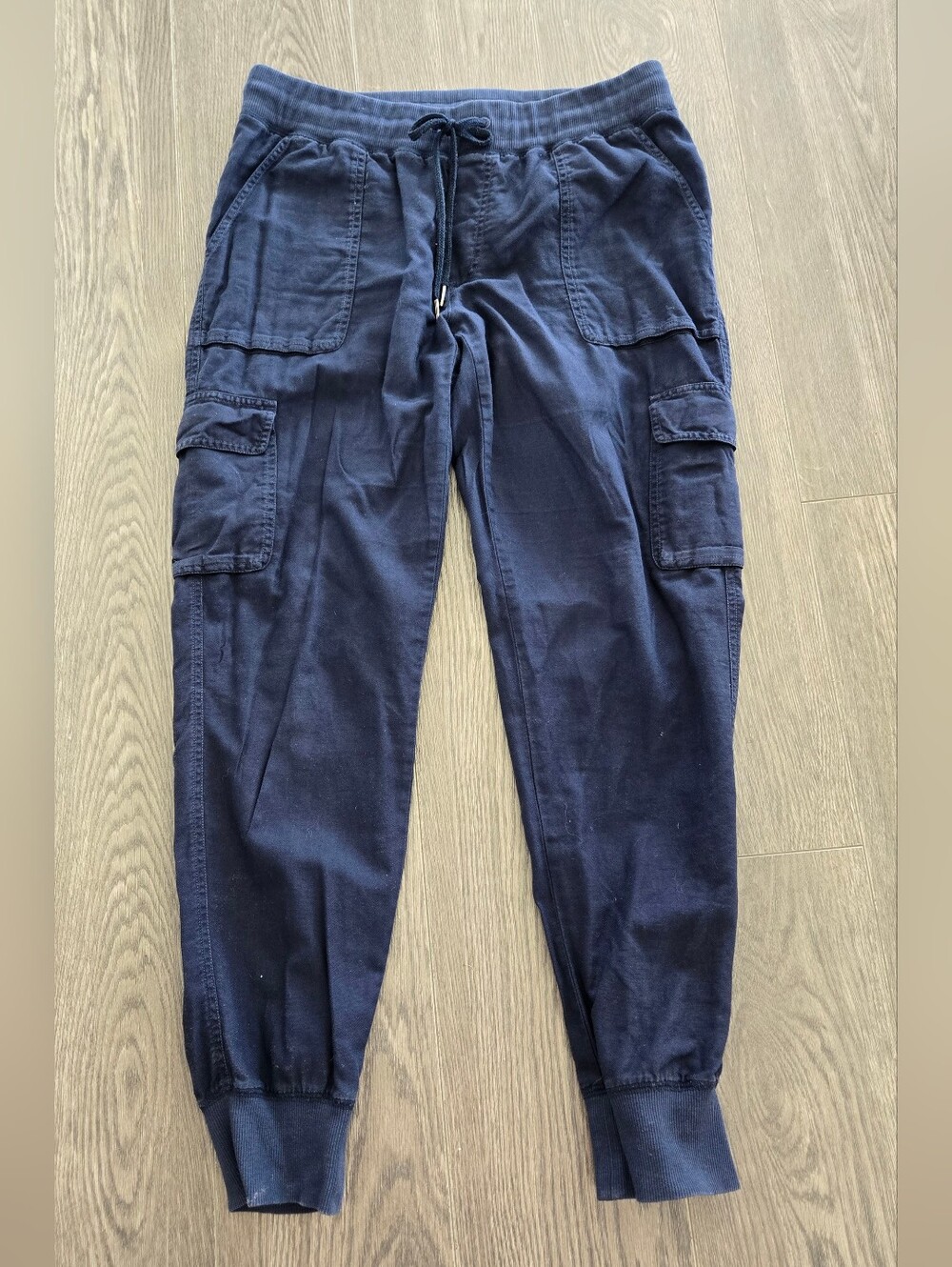 Aritizia Community Cargo Jogger Pants